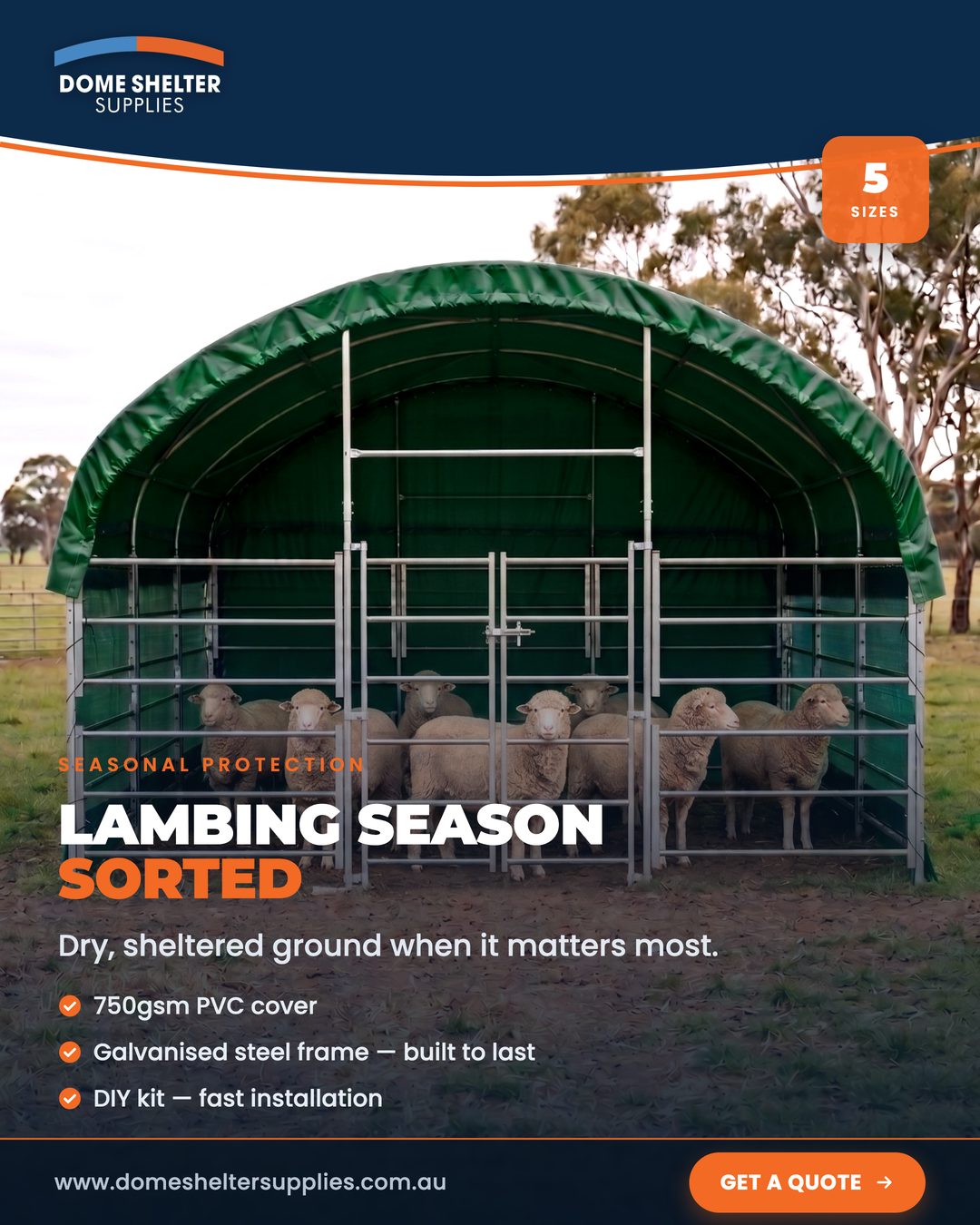 Lambing season shelter ad creative